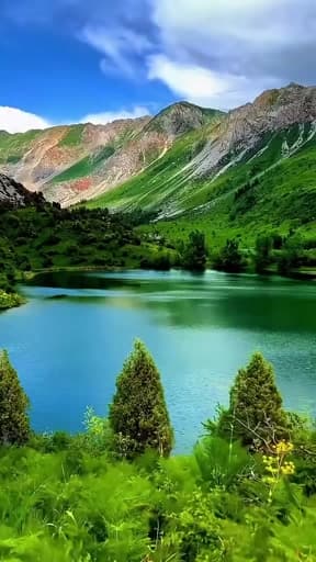 #nature